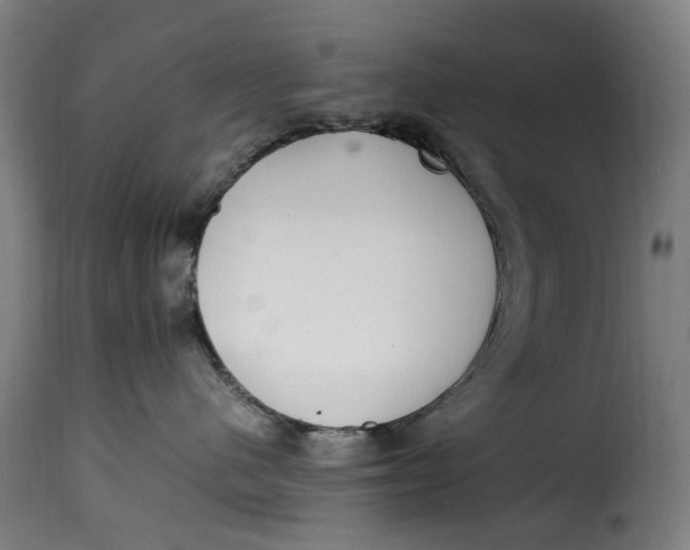 X0000115260480200911201710