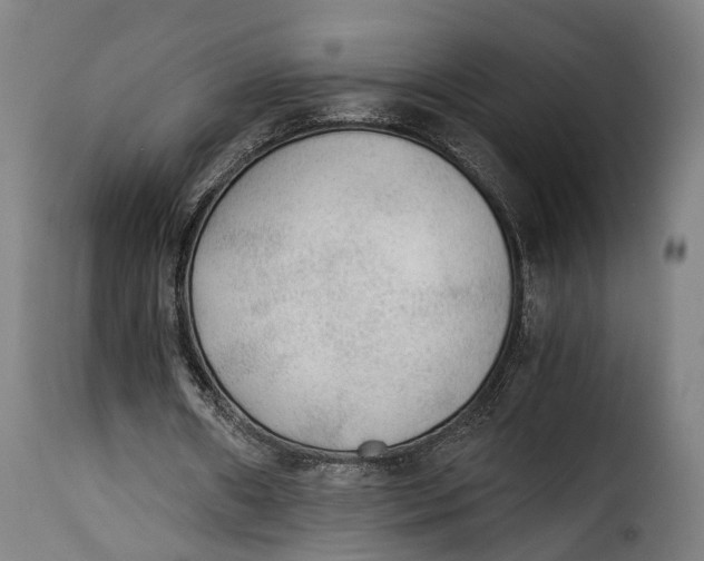 X0000115260482200911201709