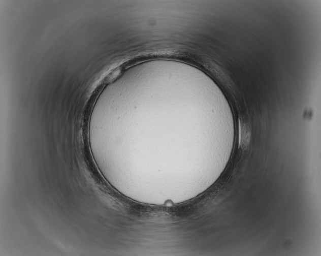 X0000115260483200911201709