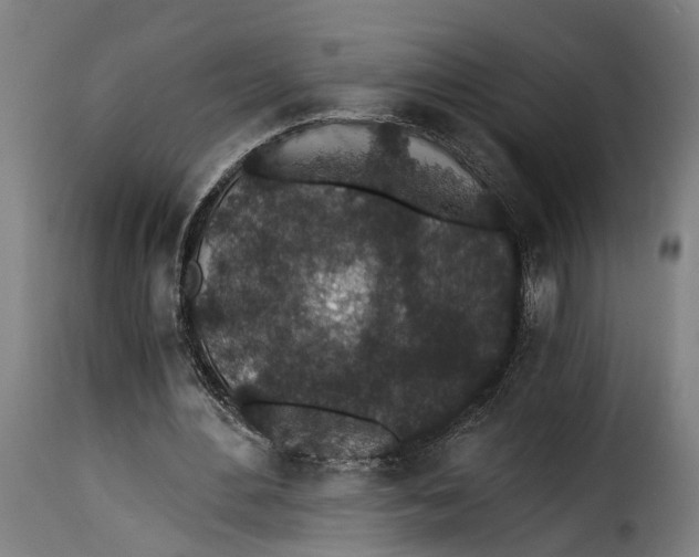 X0000115260484200911201709