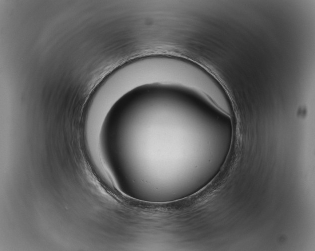 X0000115260485200911201709