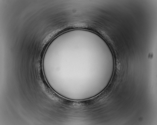 X0000115260487200911201709