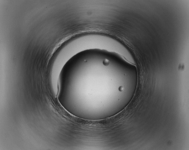 X0000115260488200911201709