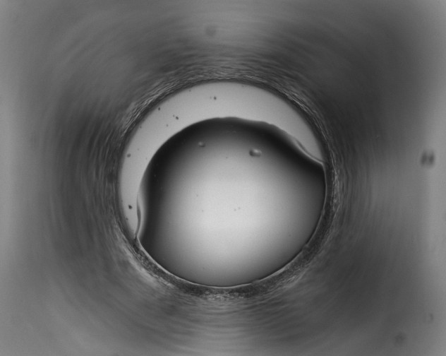 X0000115260489200911201709