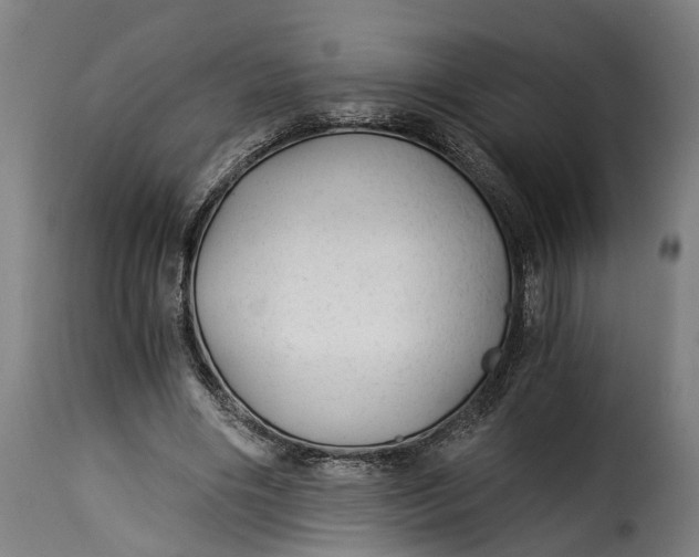 X0000115260490200911201709