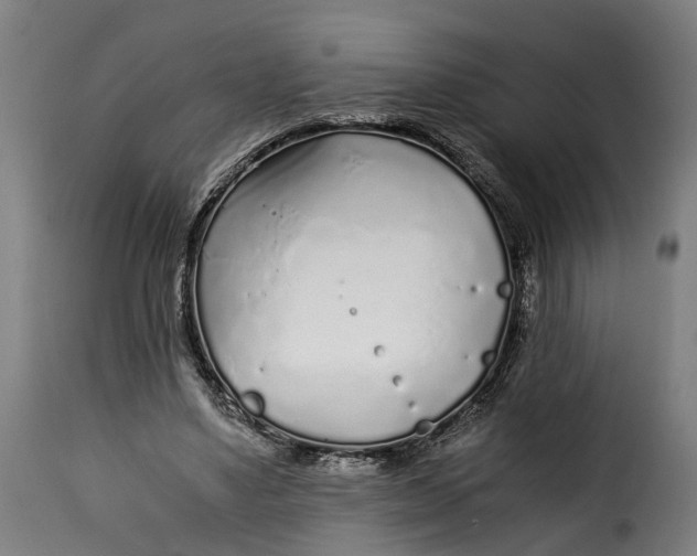 X0000115260491200911201709