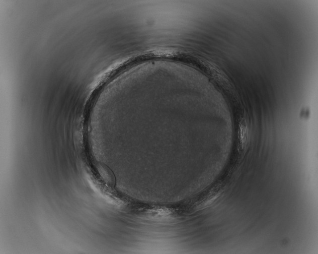 X0000115260492200911201709