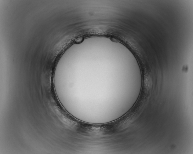 X0000115260493200911201709