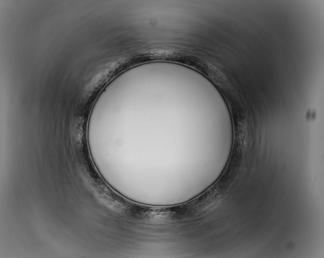 X0000115260495200911201709