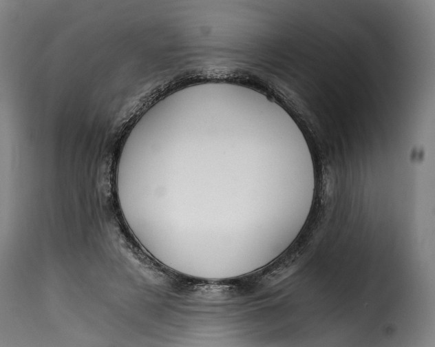 X0000115260497200911201709
