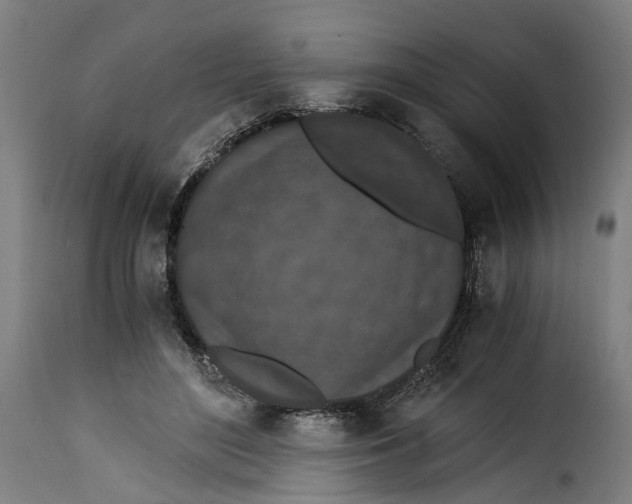 X0000115260500200911201709