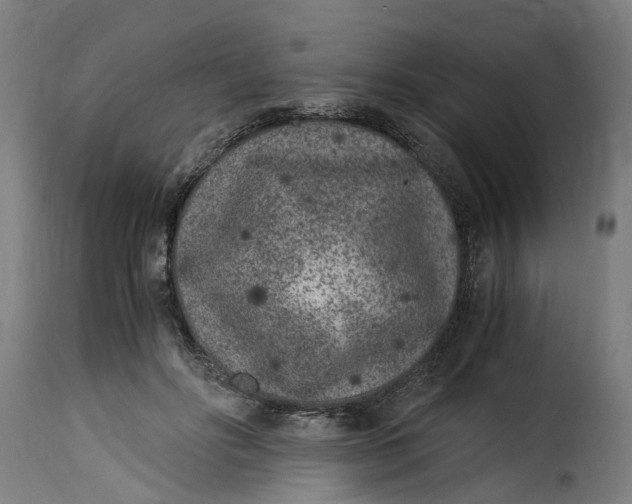 X0000115260502200911201709