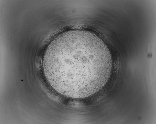 X0000115260503200911201709