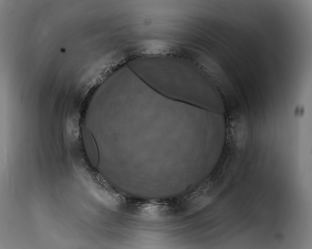 X0000115260504200911201709