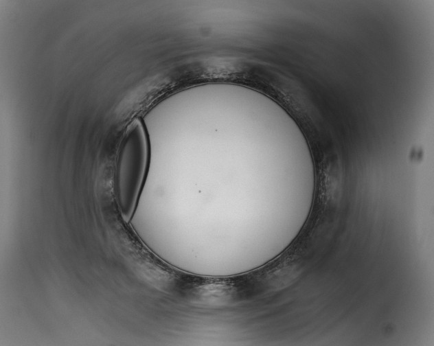 X0000115260505200911201709