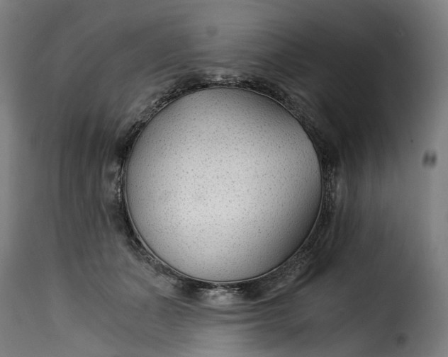 X0000115260511200911201709