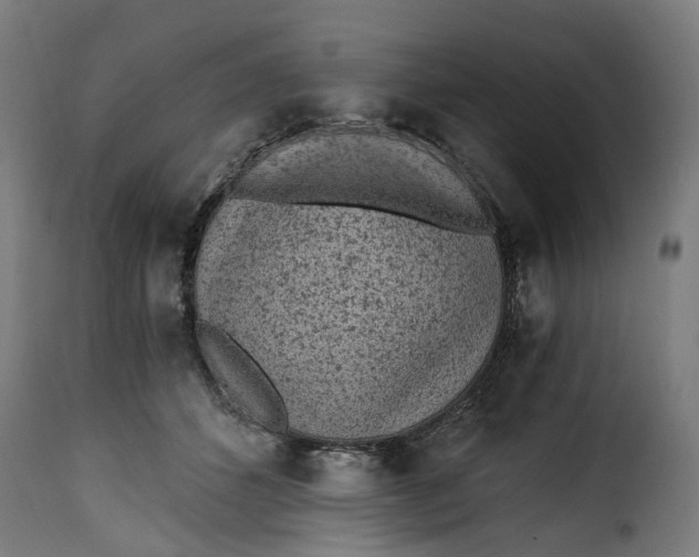 X0000115260512200911201709