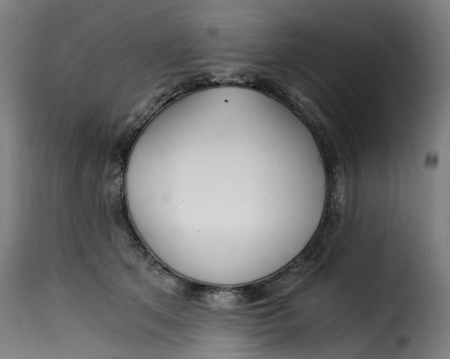 X0000115260513200911201709