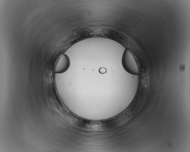 X0000115260514200911201709