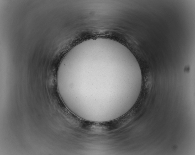 X0000115260515200911201709