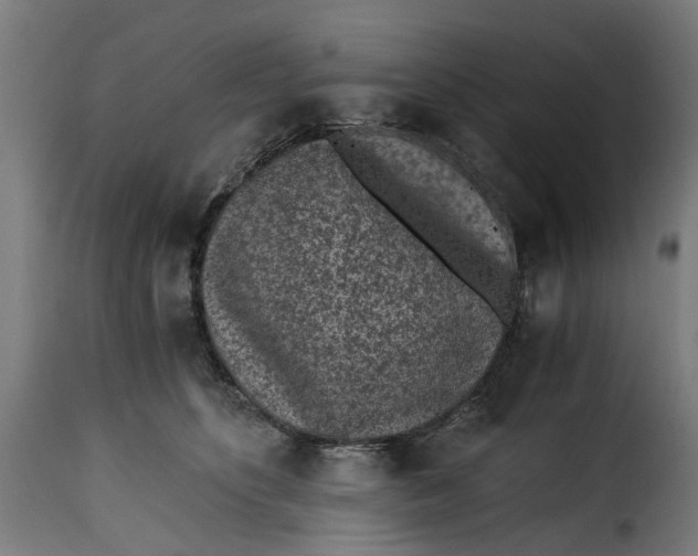 X0000115260516200911201709