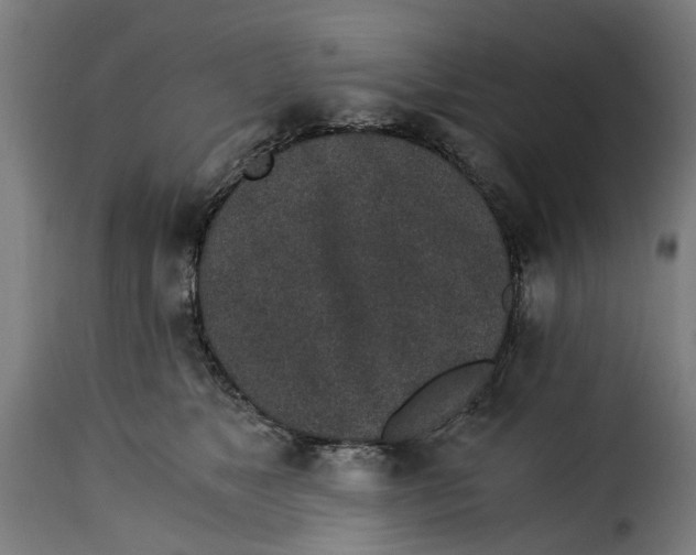 X0000115260517200911201709