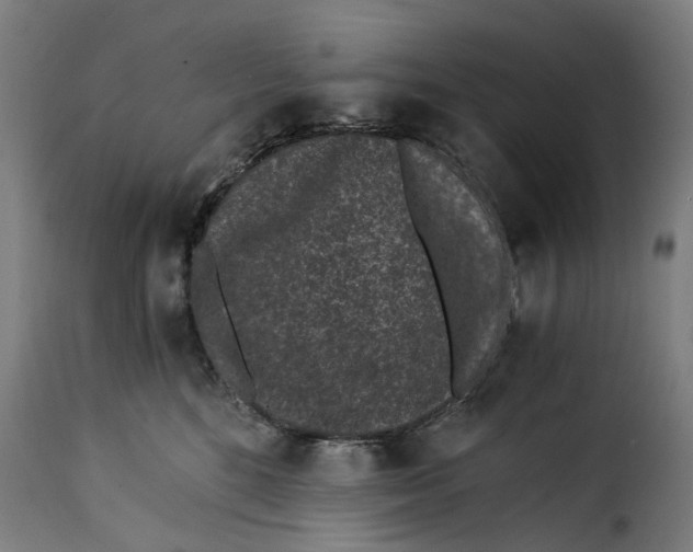 X0000115260520200911201708
