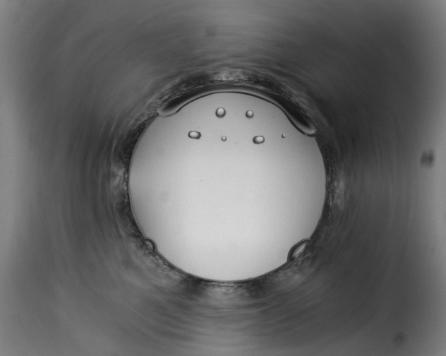 X0000115260521200911201708