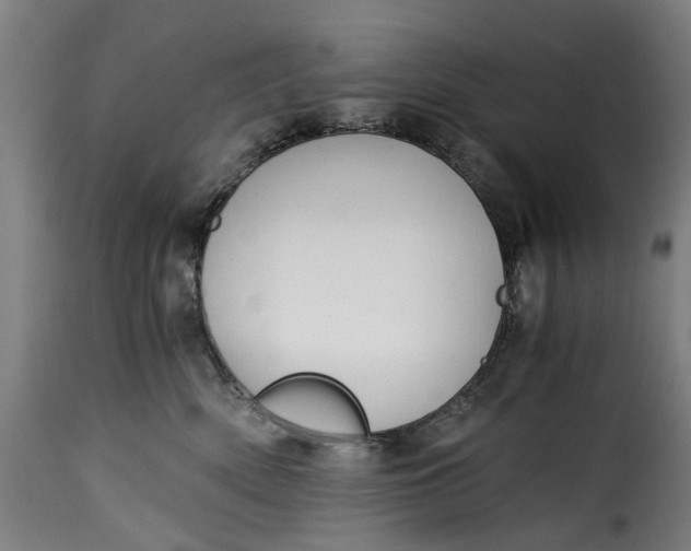 X0000115260522200911201708