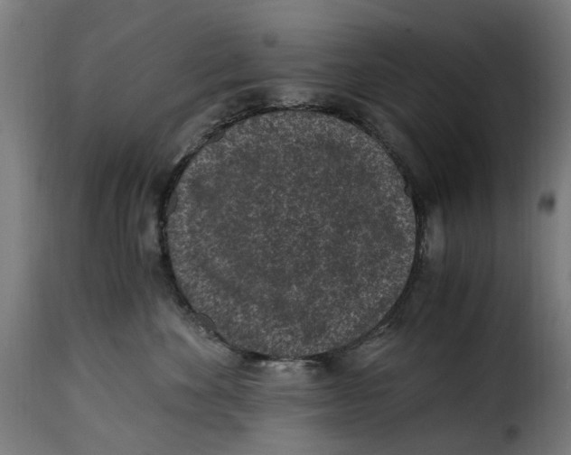 X0000115260524200911201708