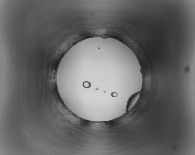 X0000115260525200911201708