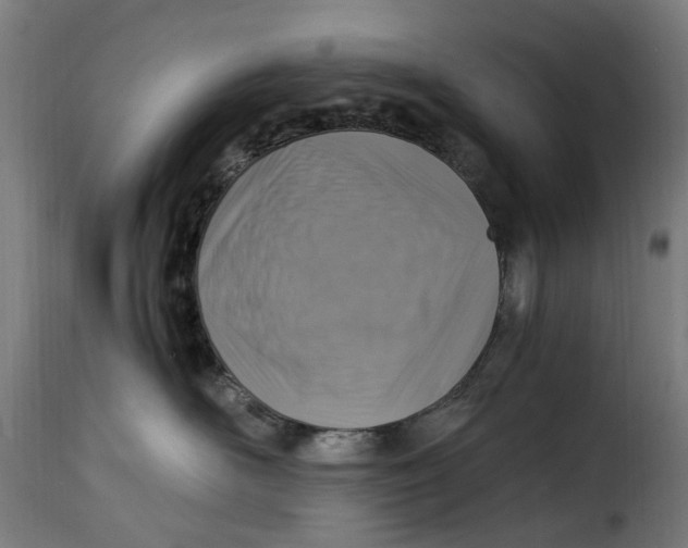 X0000115260526200911201708