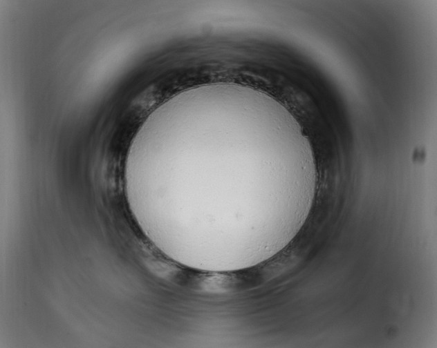 X0000115260527200911201708