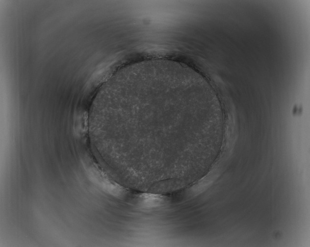 X0000115260528200911201708