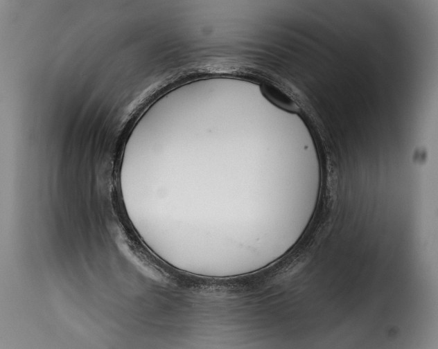 X0000115260530200911201708