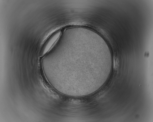 X0000115260531200911201708