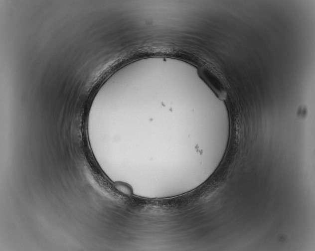 X0000115260538200911201708
