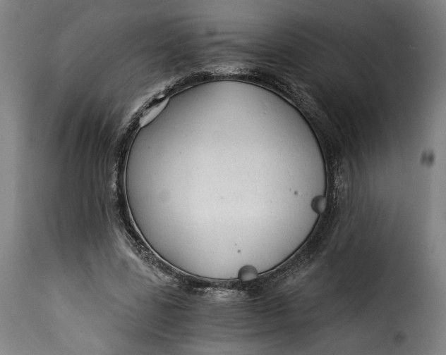 X0000115260539200911201708
