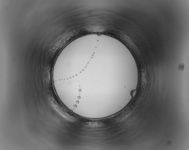 X0000115260541200911201708