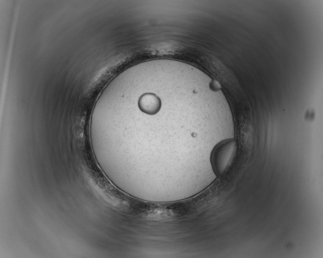 X0000115260543200911201708