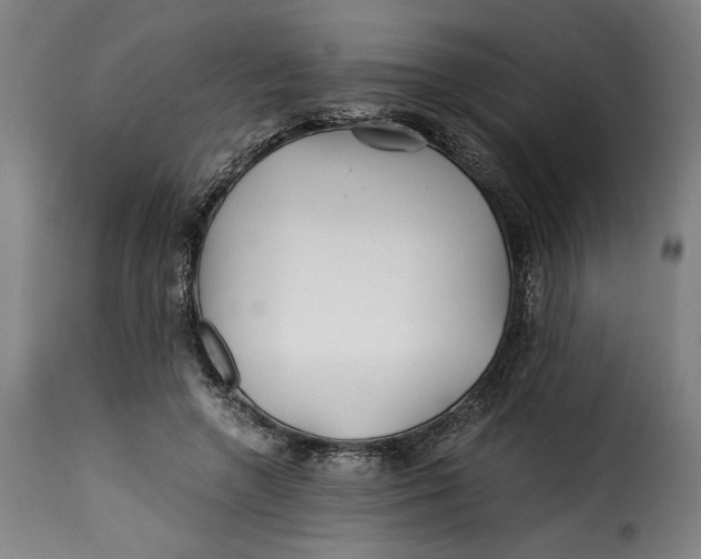 X0000115260546200911201708