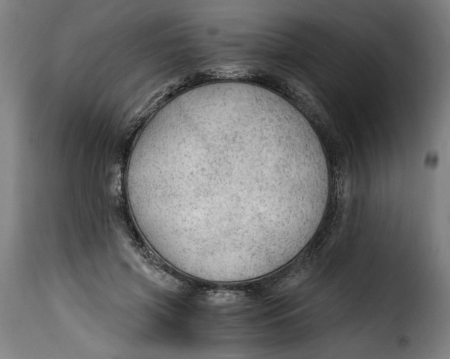 X0000115260549200911201708