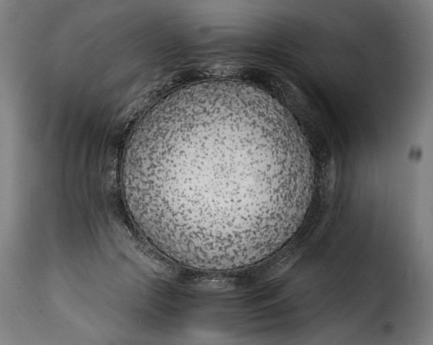 X0000115260553200911201708