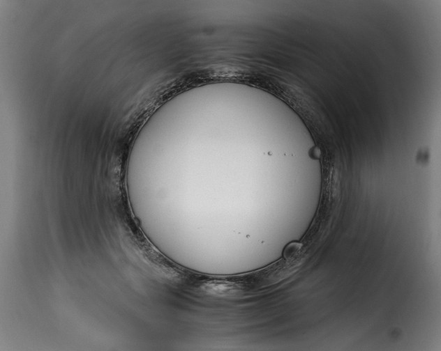 X0000115260557200911201708
