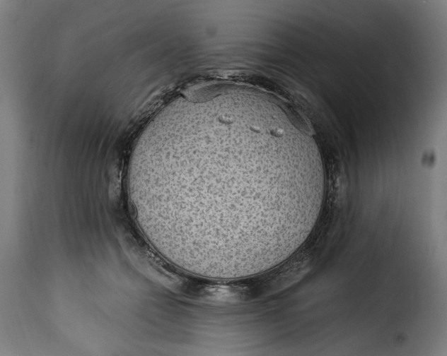 X0000115260558200911201708