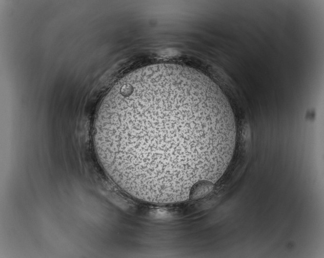 X0000115260565200911201708