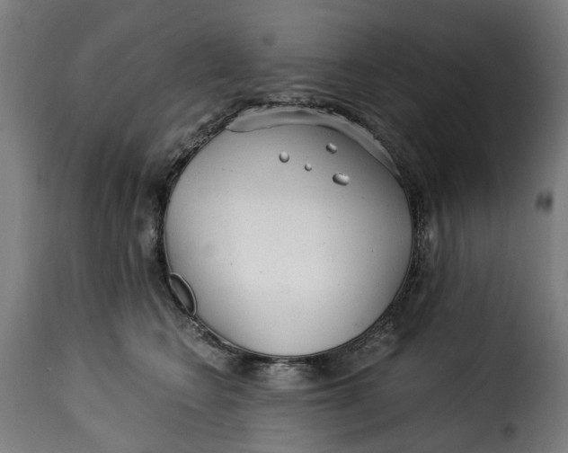 X0000115260566200911201708