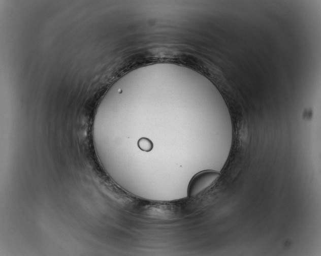 X0000115260567200911201708