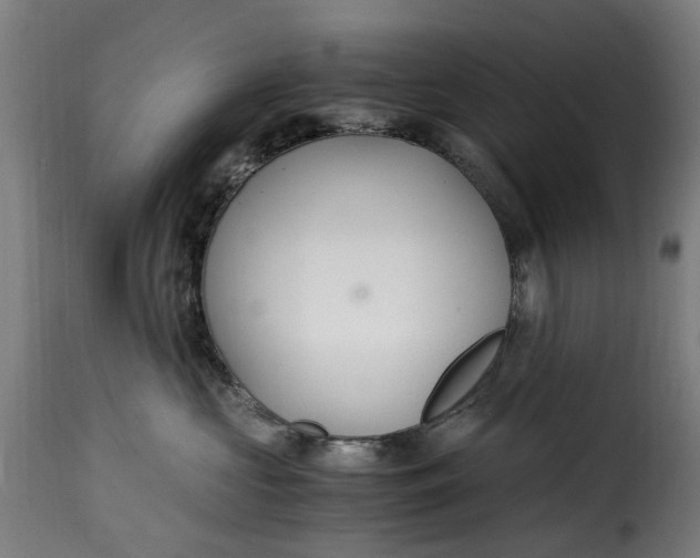 X0000115260573200911201708