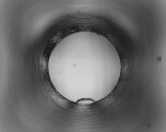 X0000115260574200911201708